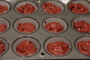 cup cakes IMG_2348